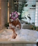 Ofer seriozitate și discreție maxima! - imagine 2