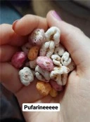 În căutare de prieteni noi - imagine 1