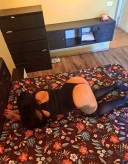 Cristina Dristor 2 - imagine 2