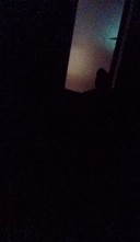 Buna sunt in zona coresi, fac și deplasări! - imagine 2