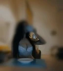 Universitate fac si deplasari - imagine 1