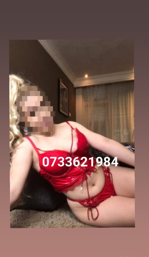 Azi am ajuns in orasul tau fac si deplasari la hotel sau pesiuni - imagine 117176