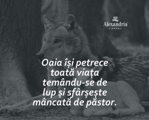 Femeie Serioasa, Gata pentru Oameni de Calitate - imagine 120617