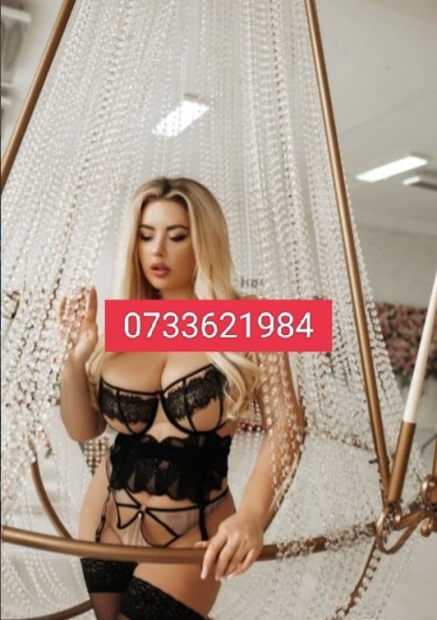 Nouă în oraș! Doar câteva zile.Deplasari la hotel sau pensiune - imagine 133975