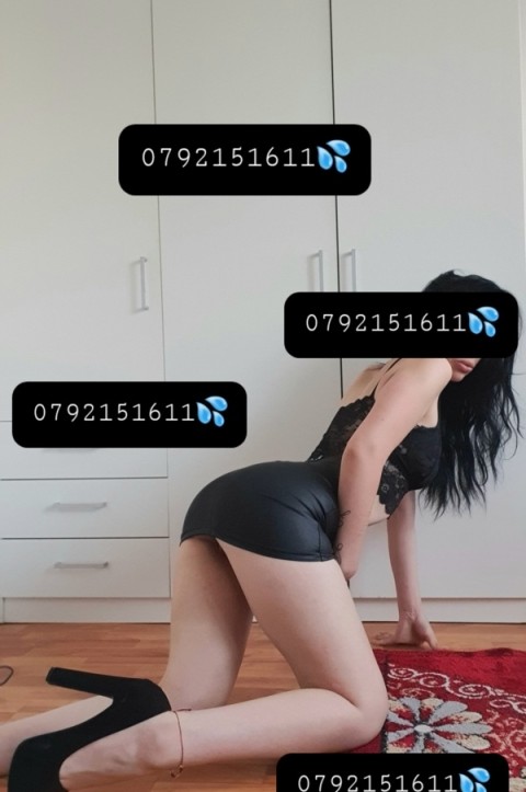 deplas?ri brunet? nou? - imagine 136336