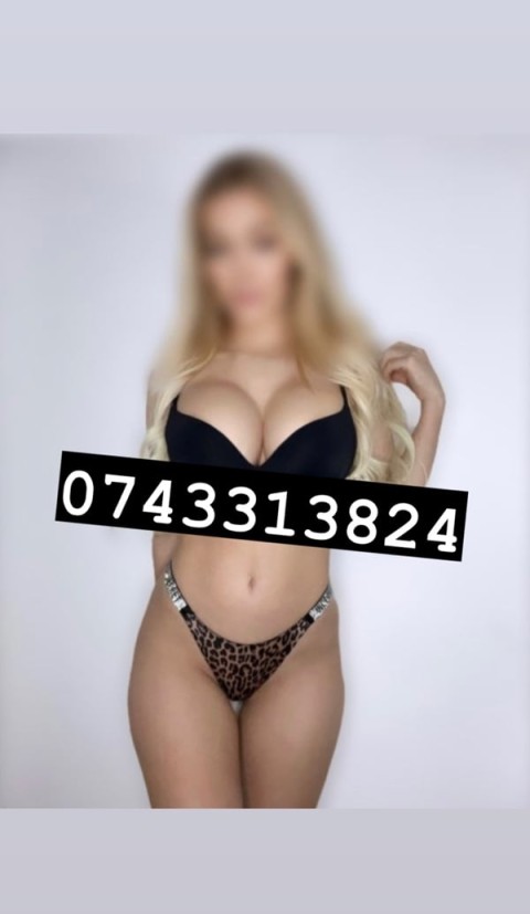 aici gasesti exact ceea ce cautai - imagine 144829