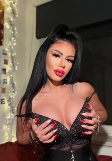 Raspund Doar Pe WhatsApp