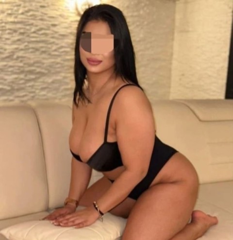 Kamelia noua în oraș - imagine 172643