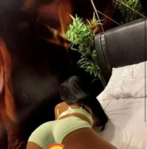 Plinuța ta - imagine 301238