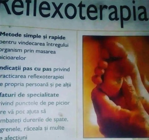 New New - imagine 365653