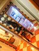 Noua! Total! Dominare și iubire - imagine 5