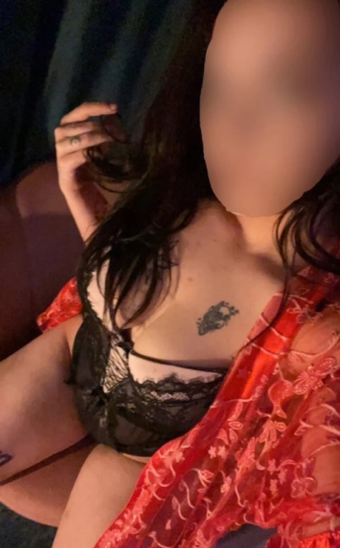 Deplasari doar la hotel! - imagine 530002