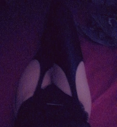 Top Dominator - imagine 587399