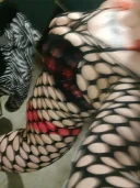 Dennis sweet - imagine 1