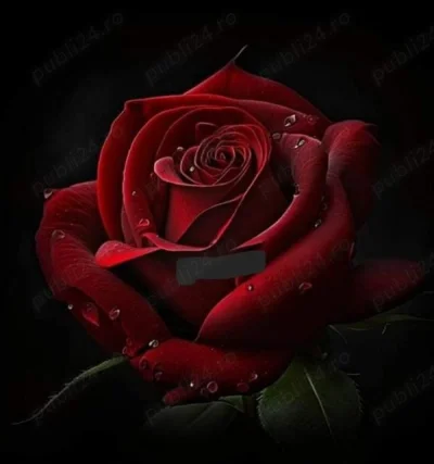 Profil REAL ! Bianca