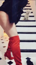 New Tranny Milf OF Whatsapp English-Spanish-German - imagine 2