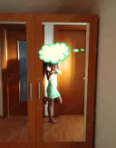 Flavia dulcica - imagine 2