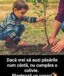 Prietenie - imagine 1