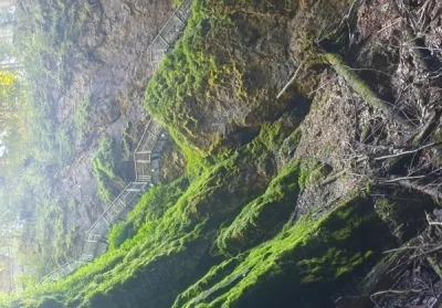 Tip bine, educat si bazat