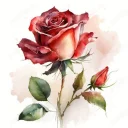 Bărbat extraordinar cauta cea mai frumoasa femeie ca amanta - 20-30 ani - imagine 1