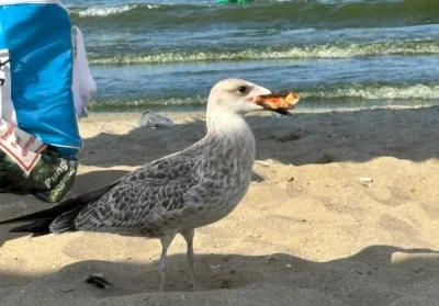 Tanar cu persoectiva, caut o fata frumoasa pentru o relatie benefica pentru amandoi