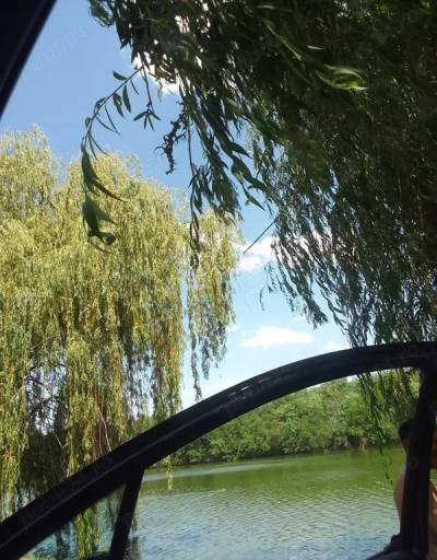 Doar pentru Doamne si Domnisoare