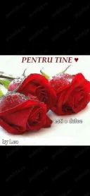 Domn drăguț și discret - imagine 3