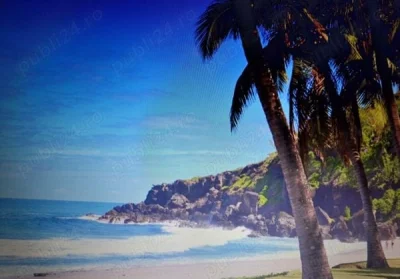 Belgien generos caut tanara seriosa