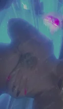 Show web. - imagine 2