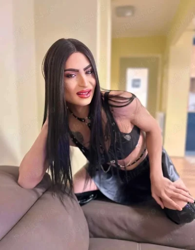 Kasy ts servici de calitate show web