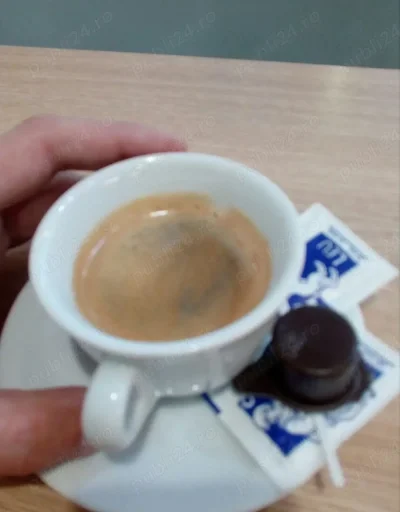 Domn prezentabil pentru întâlniri