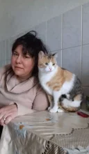 Caut prieten 40-57 ani, aspect fizic placut - imagine 1