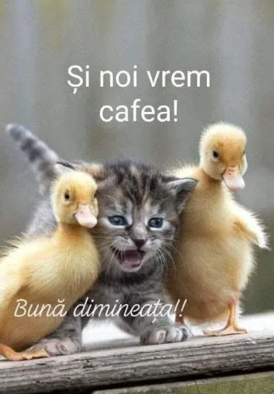 Doresc o relație discreta!