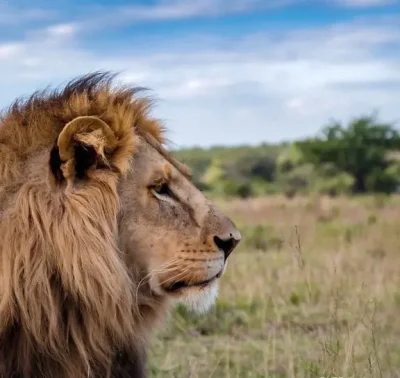 Doi tipi dorim sa cunoastem doamna domnisoara