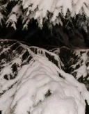 Caut relație discretă cu doamna sau domnișoară - imagine 2