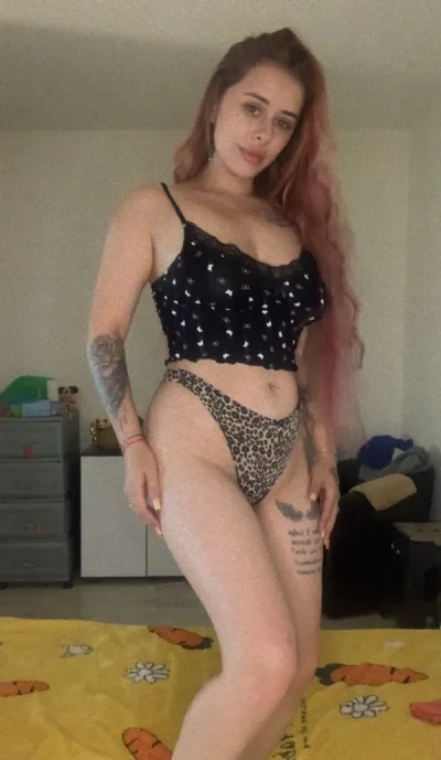 ALIS nu fac deplasari