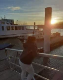 Domnisoara singura .Calea Sagului - imagine 1