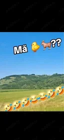 Femboy pasiv ! Caut grup de băieți frumoși diseară după ora 20:00 absolut de plăcere! 18_25 de ani! - imagine 1