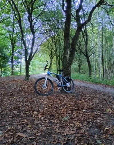 Ignorată? Plictisită? Sau doar curioasă? Nu sunt poet, dar pot să-ți scriu seara numele pe inima