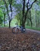 Ignorată? Plictisită? Sau doar curioasă? Nu sunt poet, dar pot să-ți scriu seara numele pe inima - imagine 2