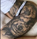 Iris- pipera - imagine 2