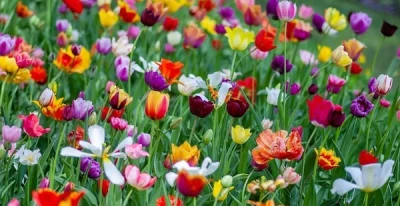 Relatie cu beneficii