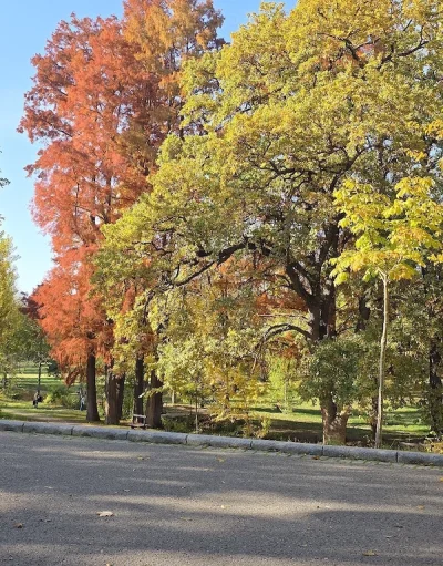 Doar pentru doamne si domnisoare
