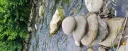 Un moment de rasfat pentru tine! - imagine 2