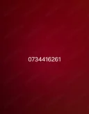 Discretie totala - imagine 1