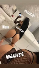 Am revenit, Diana - imagine 6