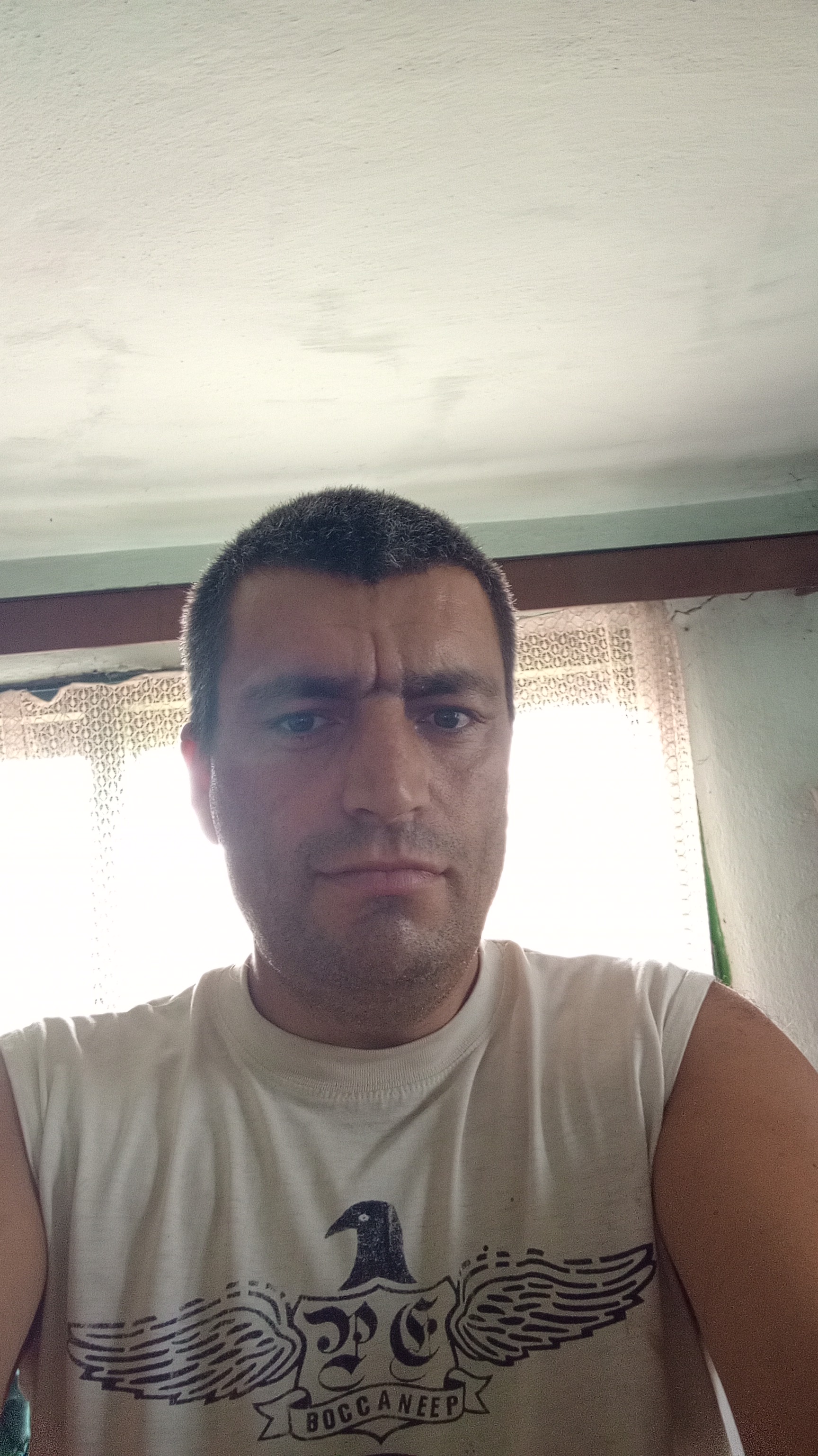 Pasiv 39